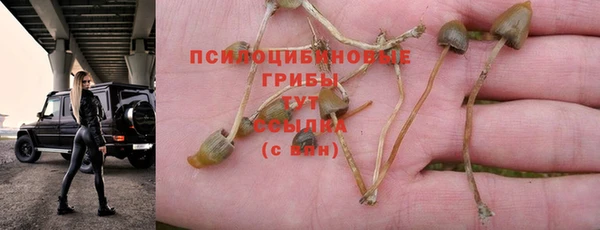 стаф Медвежьегорск