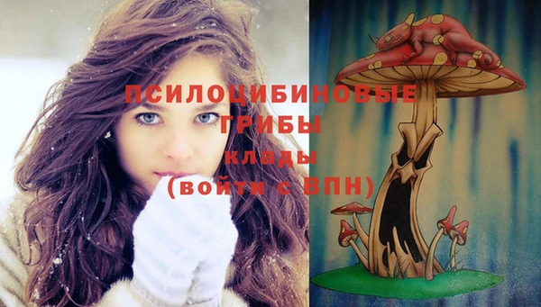 стаф Медвежьегорск