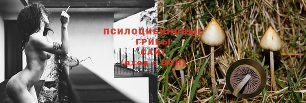 меф Медногорск