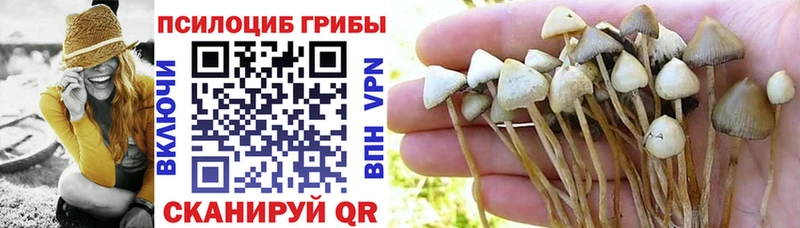 mega ONION Железноводск Галлюциногенные грибы Psilocybe продажа наркотиков