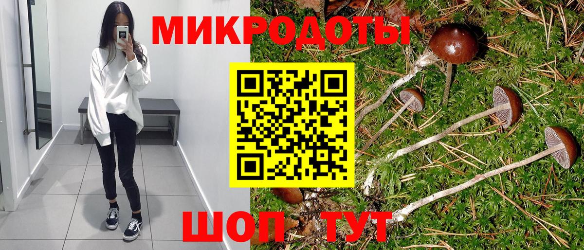 Железноводск  Псилоцибиновые грибы мицелий  Псилоцибиновые грибы прущие грибы  закладка  Вход с VPN 
