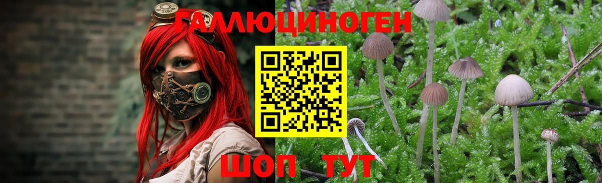 Галлюциногенные грибы мицелий Железноводск